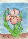 Coloring contest winner 2014